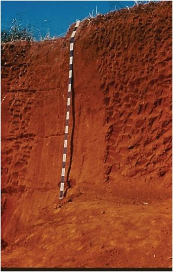 Estudio Detallado – Estación Sabanas de Taluma