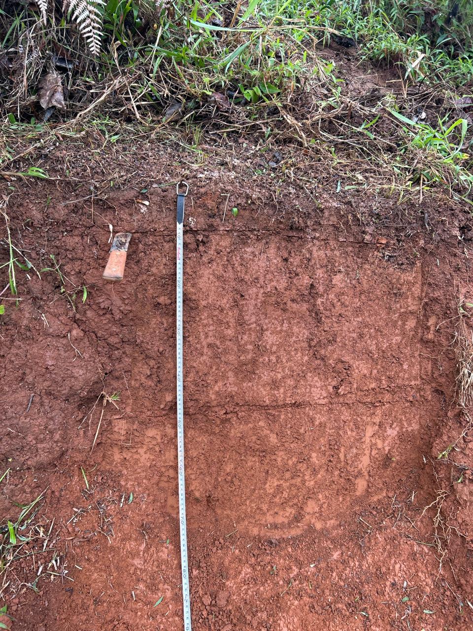 Plan de Reasentamiento ACP – Panamá Pacífico